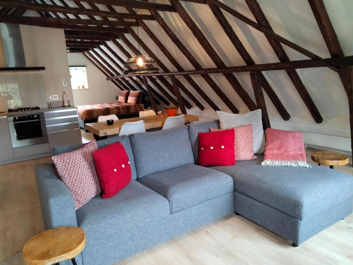 Appartement Badnieuweschans Bad Nieuweschans Eksteriør billede